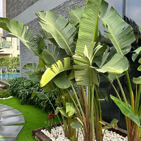 Villa Drvillasuits Casa Diva *