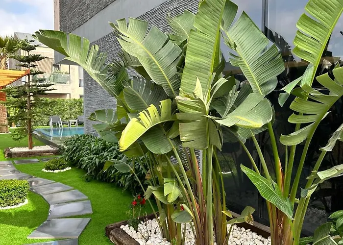 Villa Drvillasuits Casa Diva *